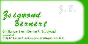zsigmond bernert business card